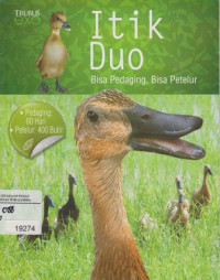 Image of Itik Duo
