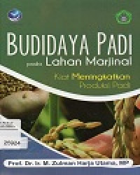 Image of Budidaya Padi Pada Lahan Marjinal