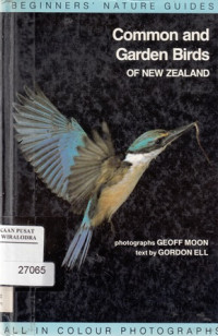 Image of Common and Garden Birds of New Zealand