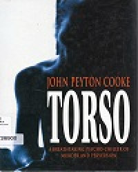 Image of Torso