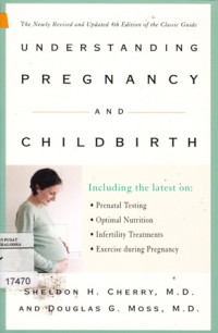 Image of Understanding Pregnancy and Childbirth
